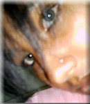 cute Brazil girl  from Atibaia B1408