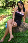 beautiful Brazil girl  from GOIANIA B3272
