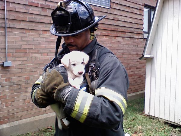 Date this gorgeous United States man Christopher from Indianapolis US303