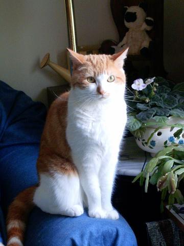 Date this tall Portugal man Dinis28 from Coimbra PT5