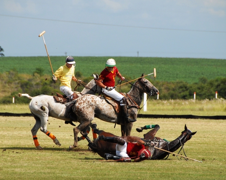 Date this hot United States man Hello8811 from Miami Beach US3428