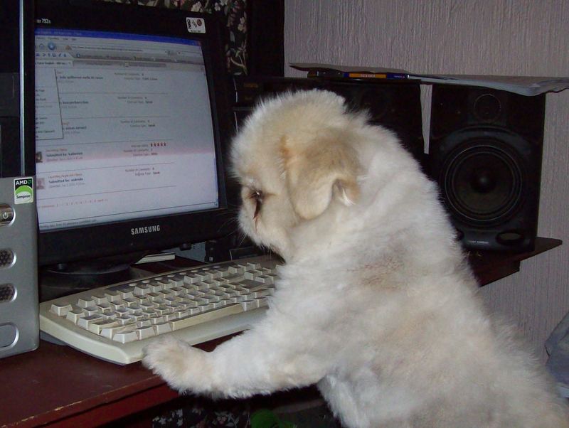 Date this cute South Africa man Wotalotigot from Vanderbijlpark ZA7