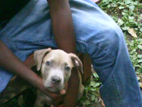 Date this pretty United States man Big from detroit US4746