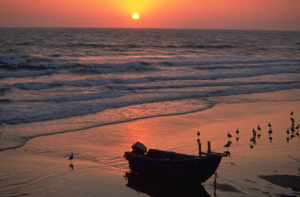 Date this charming Dominican Republic man Babyboom from Santo Domingo DO2723