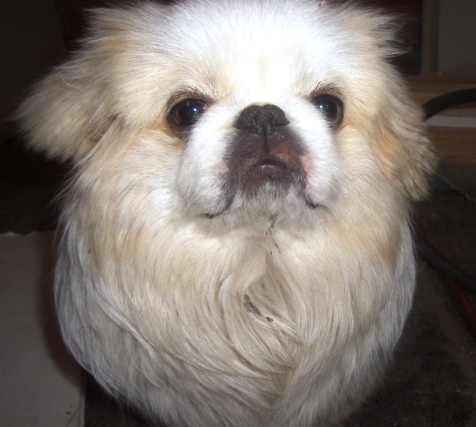 Date this fun United States man Hybrid69 from Nowhere US5629