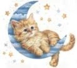 tall United States man  from Corpus Christi US5780