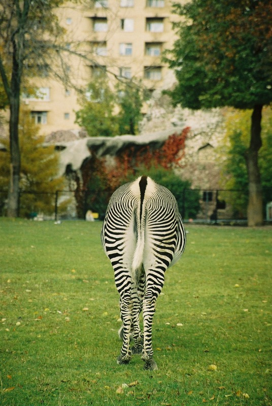 Date this delightful Germany man Alexrymin from Berlin DE160