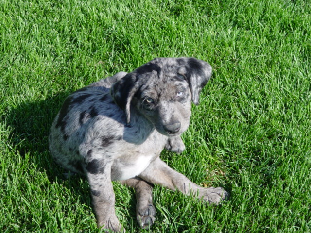 Date this georgeous United States man Renoprocess from Reno US7107