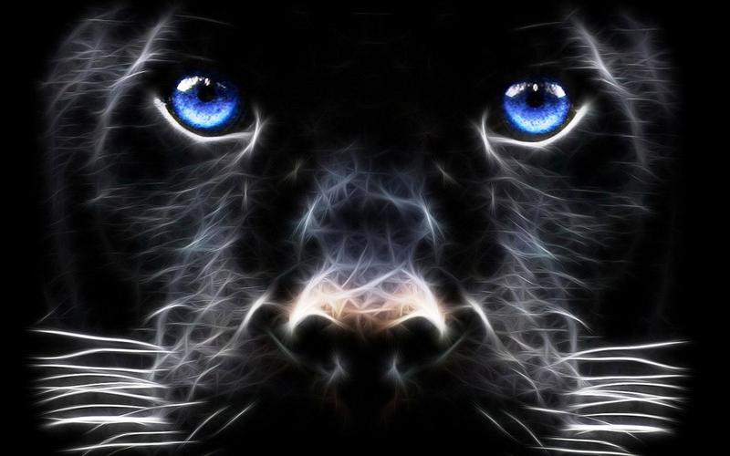 Date this sensual Estonia man Joonart from VÃ�ï¿½Ã�Â¤ndra EE3