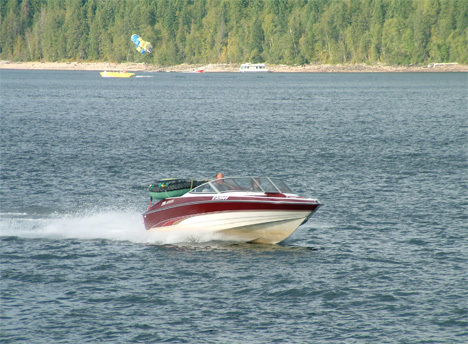 Date this gorgeous Canada man Edman from Toronto CA345