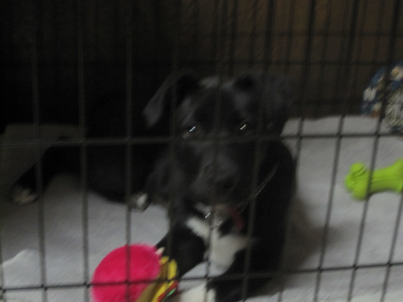 Date this athletic United States girl Flabra from San Diego US9259