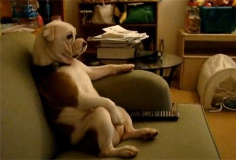 Date this funny Netherlands man Marcel from Amsterdam NL160