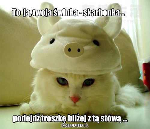 Date this pretty Poland man Polymaster from Krakow PL30