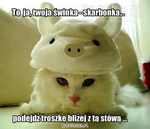 cute Any Country man  from Krakow PL30