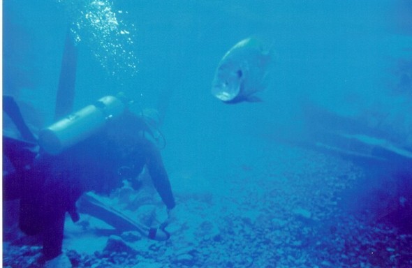 Date this stunning United States man Jim from Pensacola US10548