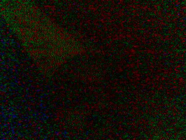 Date this delightful Nigeria man Mohammed from Kaduna NG365