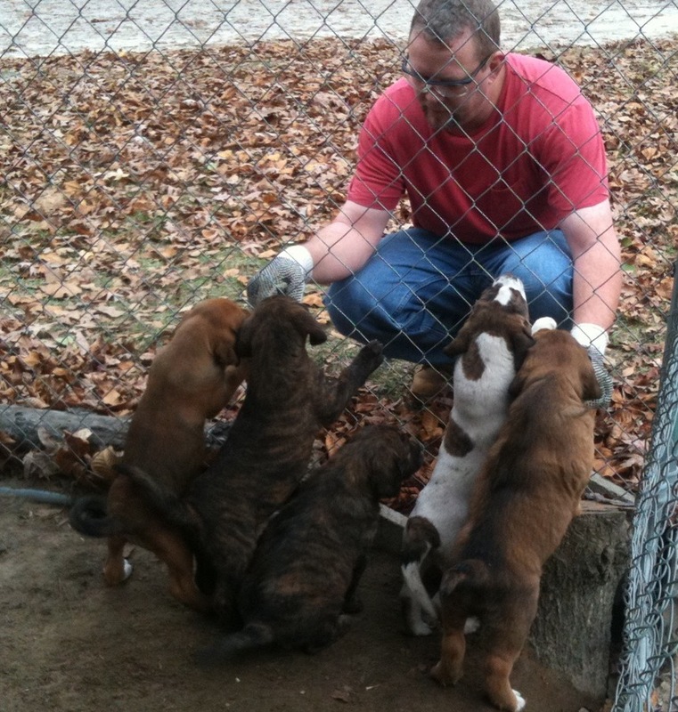 Date this pretty United States man Rikard1969 from Columbia US10973