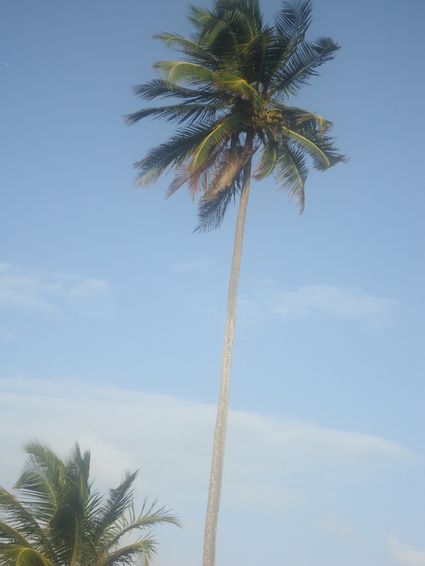 Date this attractive United States man Leocastro from Boston US11556