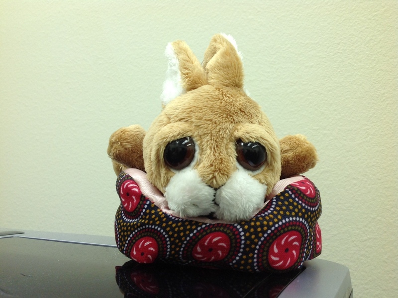 Date this delightful United States man BUSCAR from VIRGINIA BEACH US11888