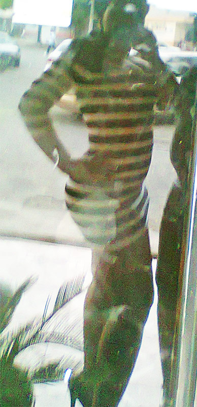 Date this hot Dominican Republic girl Cinthia from Santo Domingo DO10013