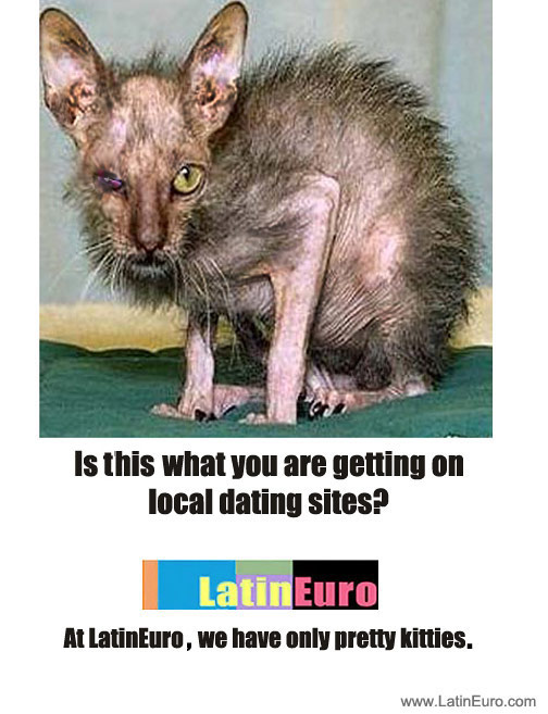 Date this good-looking Dominican Republic girl  from  DO10114