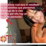 charming Dominican Republic girl  from Ã�Â´san Francisco De Macoris DO10137