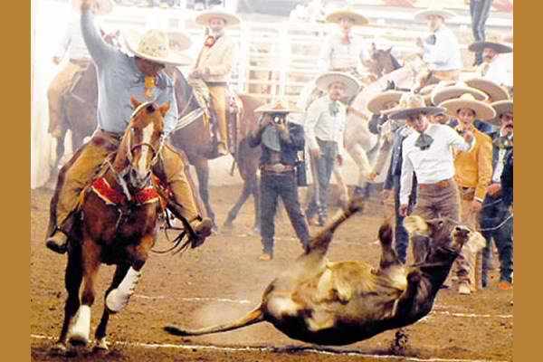 Date this delightful United States man Rachet89 from Sacramento US12186