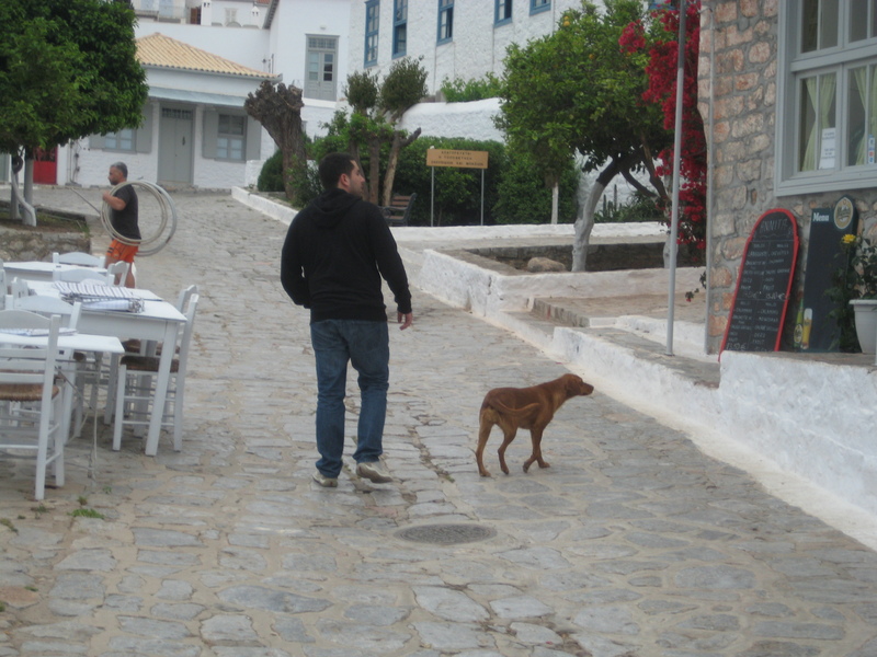 Date this exotic Greece man Guessman from Athens GR39