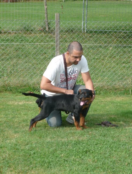 Date this fun Switzerland man Kurt from Zurich CH101