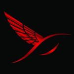 passionate United States man  from Houston US13021