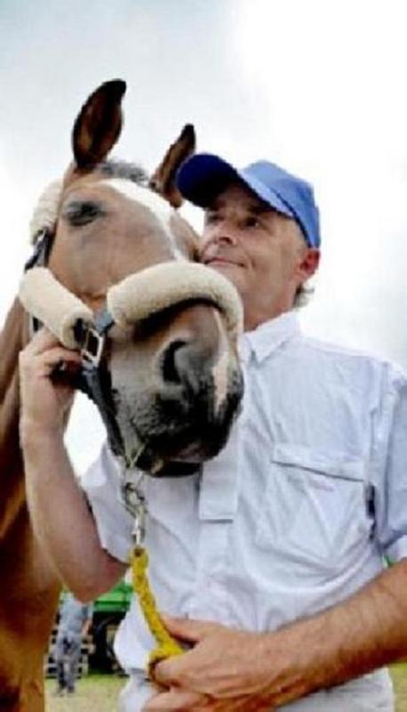 Date this exotic Belgium man Peter from Deinze BE93