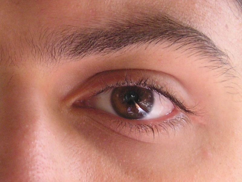 Date this nice looking United States man Eduardo81b from New York US15748