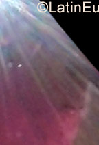 Date this fun Colombia girl Kari from Santa Marta CO23636